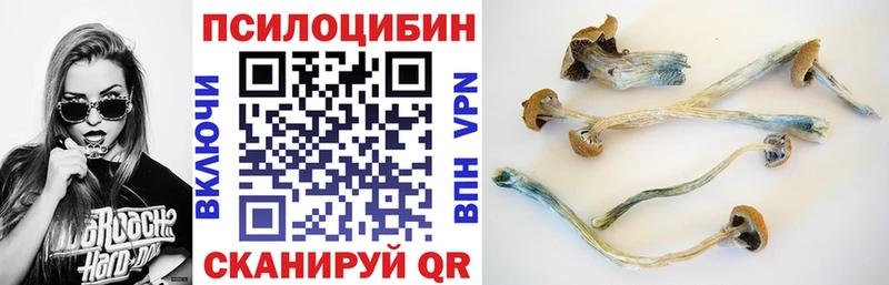 купить наркоту Калининск Псилоцибиновые грибы ЛСД